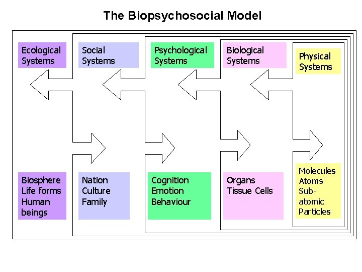 The Biopsychosocial Model Ecological Systems Biosphere Life forms Human beings Social Systems Nation Culture