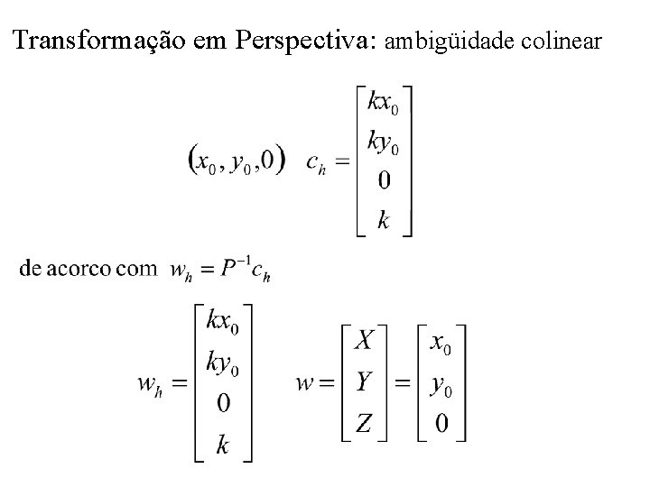 Transformação em Perspectiva: ambigüidade colinear 