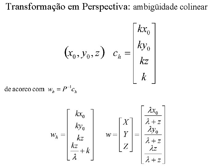 Transformação em Perspectiva: ambigüidade colinear 