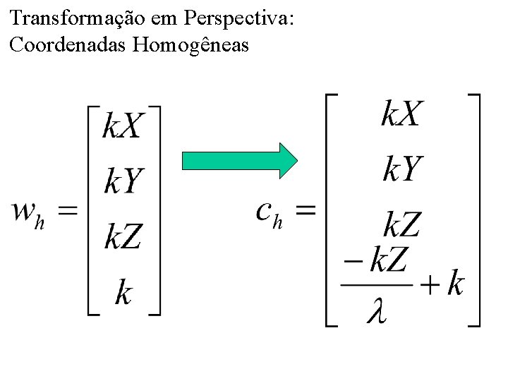 Transformação em Perspectiva: Coordenadas Homogêneas 