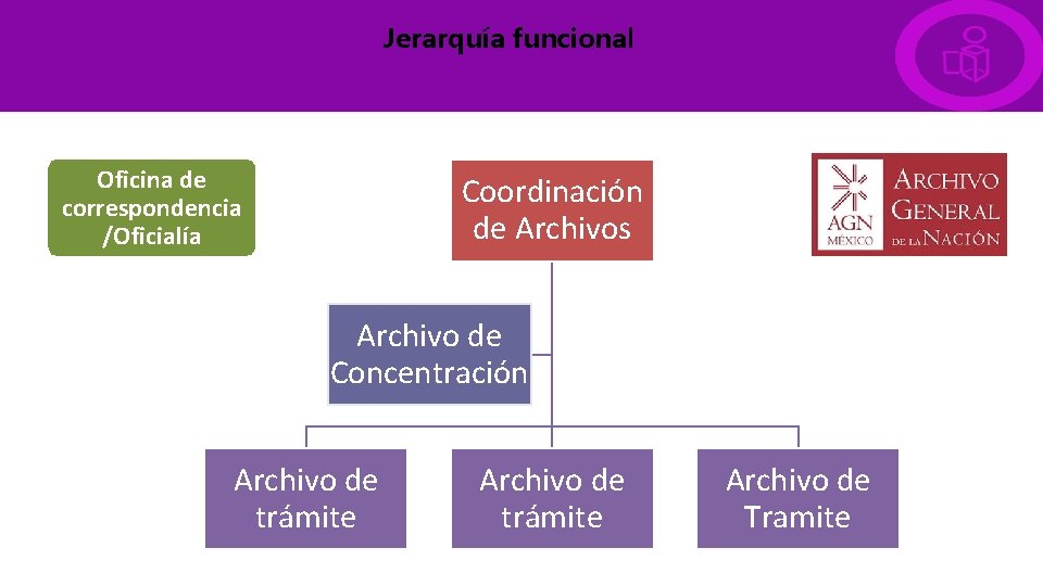 Jerarquía funcional Oficina de correspondencia /Oficialía Coordinación de Archivos Archivo de Concentración Archivo de