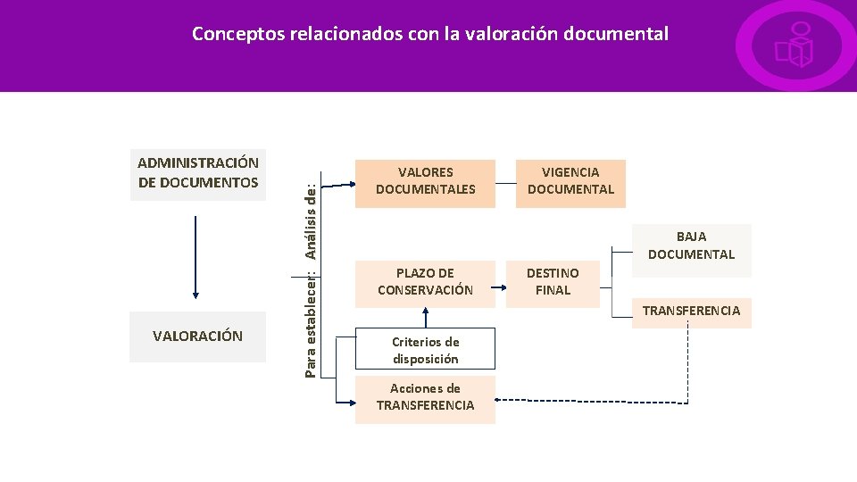 ADMINISTRACIÓN DE DOCUMENTOS VALORACIÓN Para establecer: Análisis de: Conceptos relacionados con la valoración documental