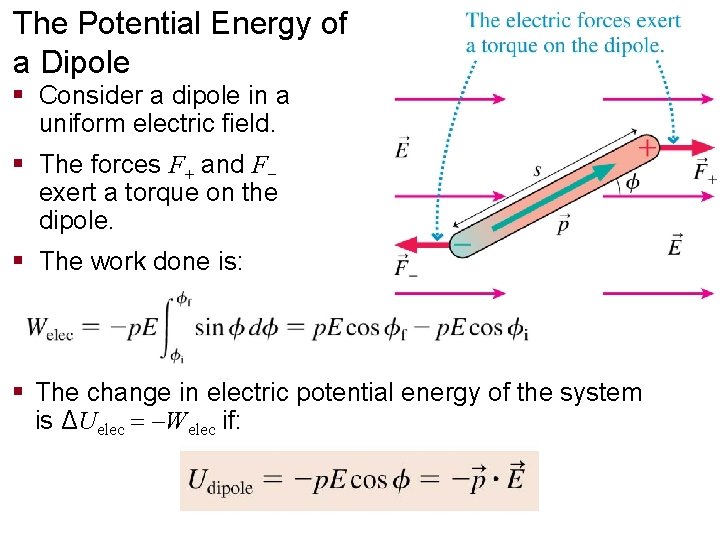 The Potential Energy of a Dipole § Consider a dipole in a uniform electric