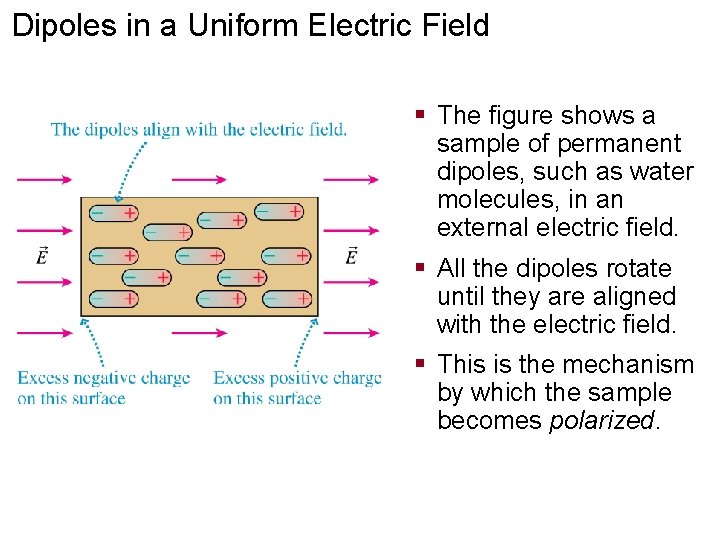 Dipoles in a Uniform Electric Field § The figure shows a sample of permanent