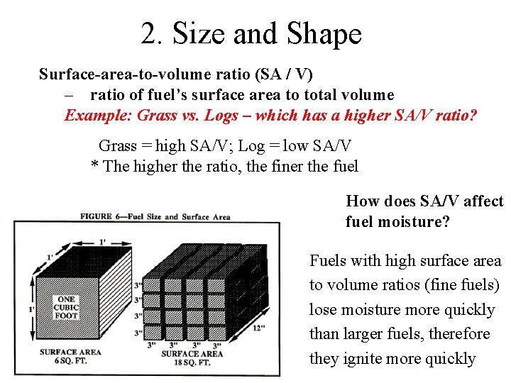 2. Size and Shape Surface-area-to-volume ratio (SA / V) – ratio of fuel’s surface