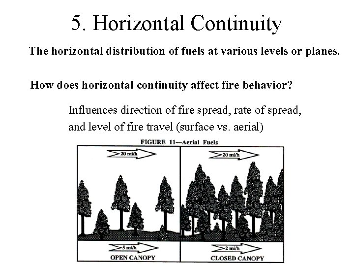 5. Horizontal Continuity The horizontal distribution of fuels at various levels or planes. How