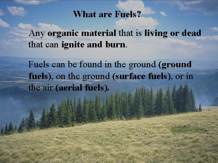 What are Fuels? Any organic material that is living or dead that can ignite