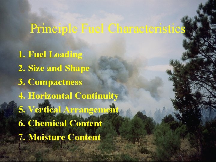 Principle Fuel Characteristics 1. Fuel Loading 2. Size and Shape 3. Compactness 4. Horizontal