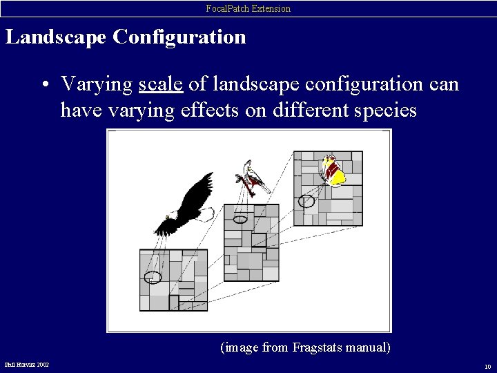 Focal. Patch Extension Landscape Configuration • Varying scale of landscape configuration can have varying