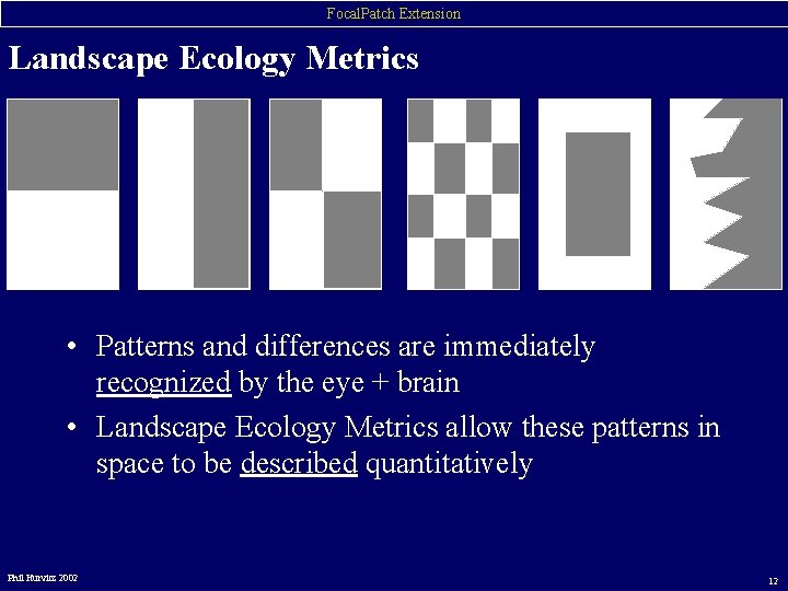 Focal. Patch Extension Landscape Ecology Metrics • Patterns and differences are immediately recognized by