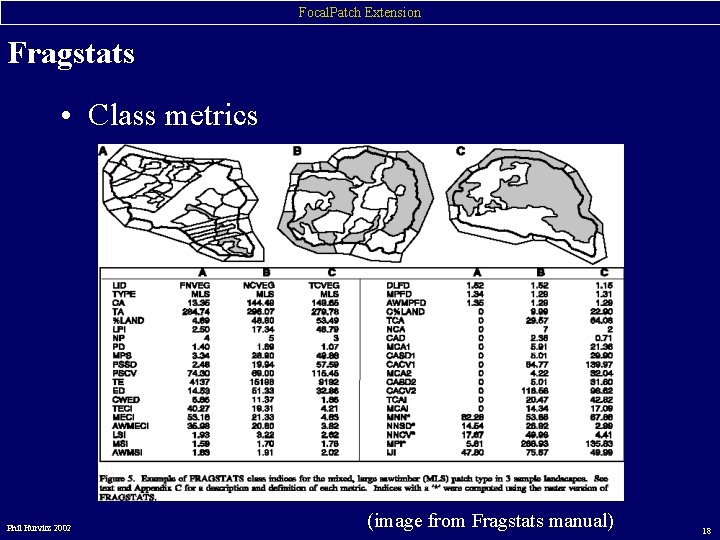 Focal. Patch Extension Fragstats • Class metrics Phil Hurvitz 2002 (image from Fragstats manual)