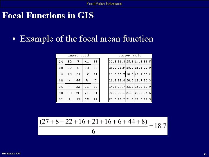 Focal. Patch Extension Focal Functions in GIS • Example of the focal mean function