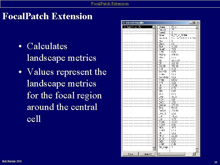 Focal. Patch Extension • Calculates landscape metrics • Values represent the landscape metrics for