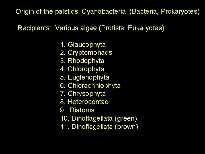 Origin of the palstids: Cyanobacteria (Bacteria, Prokaryotes) Recipients: Various algae (Protists, Eukaryotes): 1. Glaucophyta