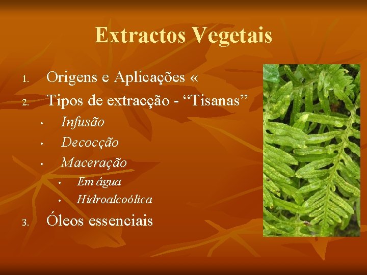 Extractos Vegetais Origens e Aplicações « Tipos de extracção - “Tisanas” 1. 2. Infusão