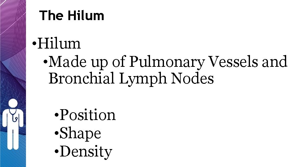 The Hilum • Hilum • Made up of Pulmonary Vessels and Bronchial Lymph Nodes The Hilum • Hilum • Made up of Pulmonary Vessels and Bronchial Lymph Nodes