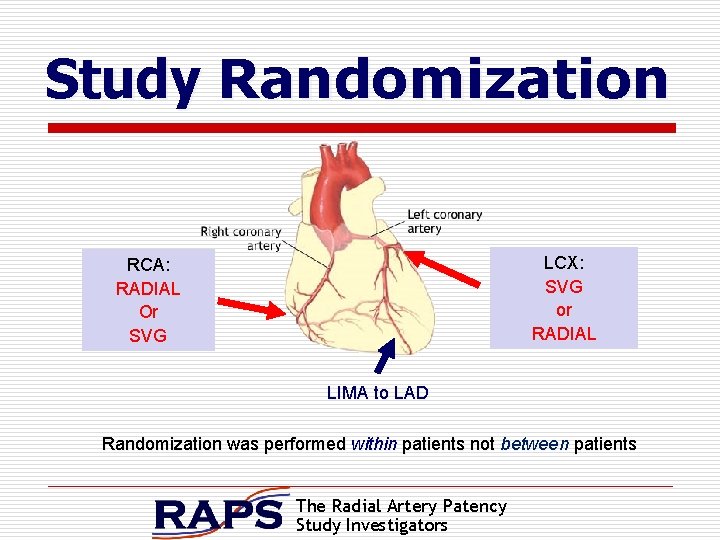 Study Randomization LCX: SVG or RADIAL RCA: RADIAL Or SVG LIMA to LAD Randomization