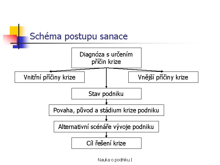 Schéma postupu sanace Diagnóza s určením příčin krize Vnitřní příčiny krize Vnější příčiny krize