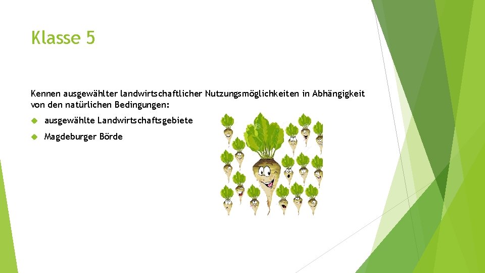 Klasse 5 Kennen ausgewählter landwirtschaftlicher Nutzungsmöglichkeiten in Abhängigkeit von den natürlichen Bedingungen: ausgewählte Landwirtschaftsgebiete