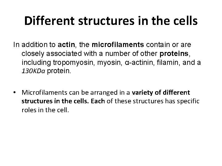 Different structures in the cells In addition to actin, the microfilaments contain or are