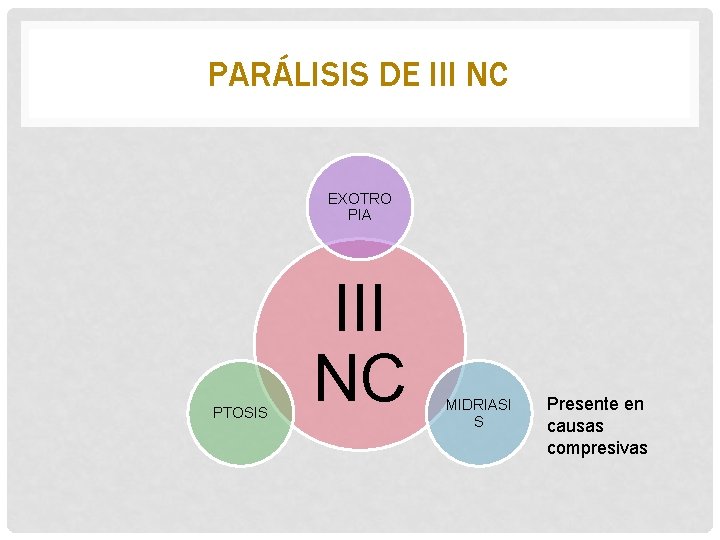 PARÁLISIS DE III NC EXOTRO PIA PTOSIS III NC MIDRIASI S Presente en causas