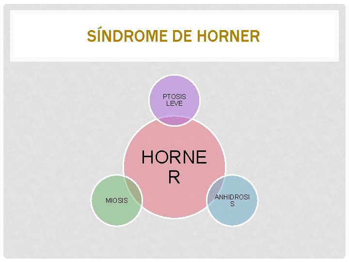 SÍNDROME DE HORNER PTOSIS LEVE HORNE R MIOSIS ANHIDROSI S 