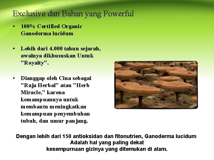 Exclusive dan Bahan yang Powerful • 100% Certified Organic Ganoderma lucidum • Lebih dari