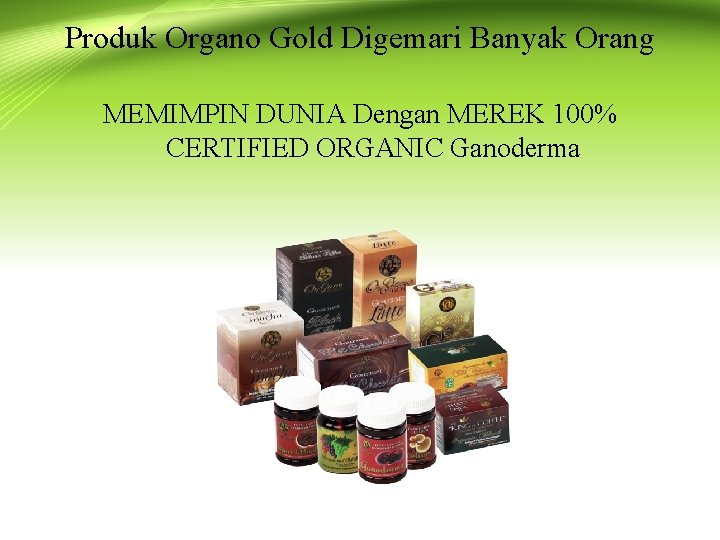 Produk Organo Gold Digemari Banyak Orang MEMIMPIN DUNIA Dengan MEREK 100% CERTIFIED ORGANIC Ganoderma