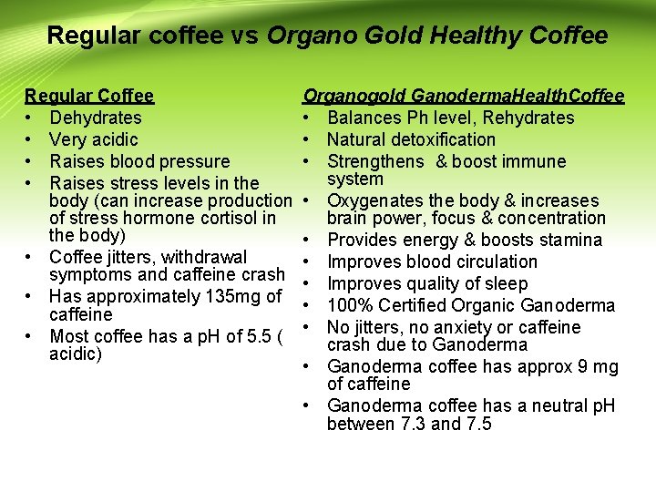 Regular coffee vs Organo Gold Healthy Coffee Regular Coffee • Dehydrates • Very acidic