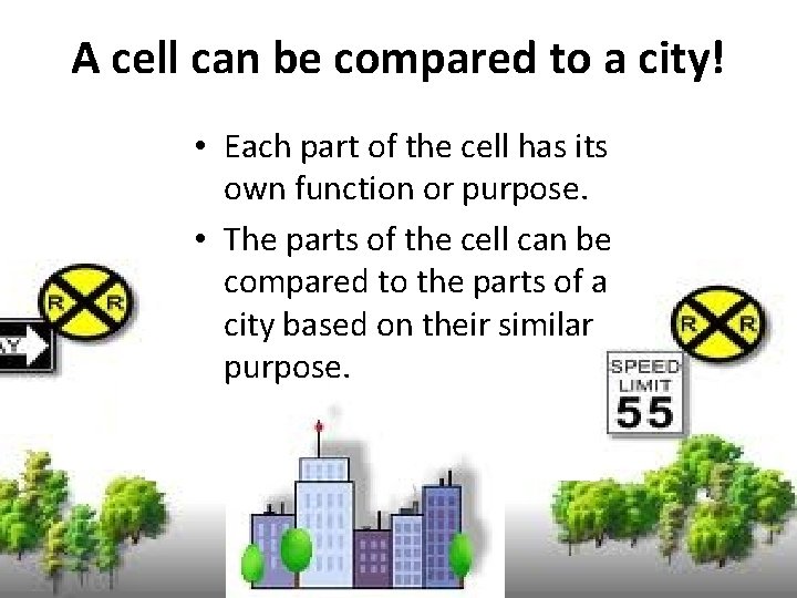 A cell can be compared to a city! • Each part of the cell A cell can be compared to a city! • Each part of the cell