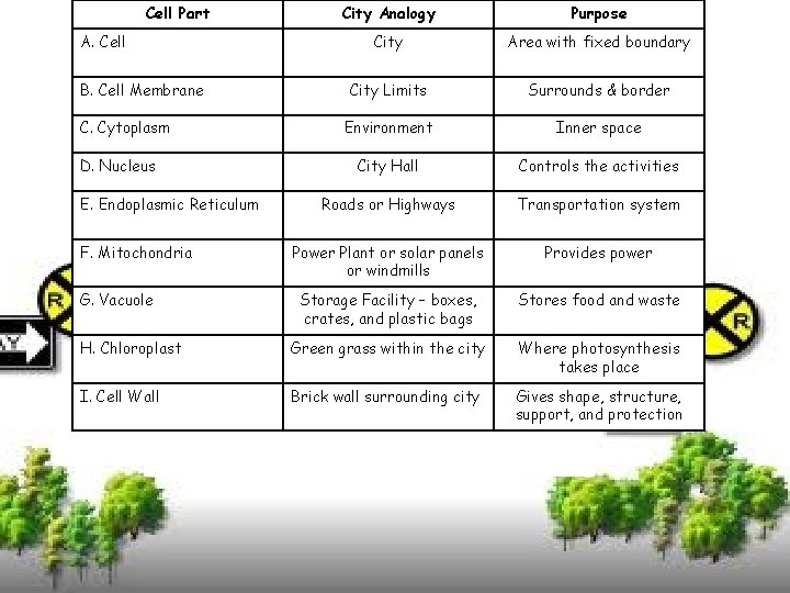 Cell Part City Analogy Purpose City Area with fixed boundary City Limits Surrounds & Cell Part City Analogy Purpose City Area with fixed boundary City Limits Surrounds &