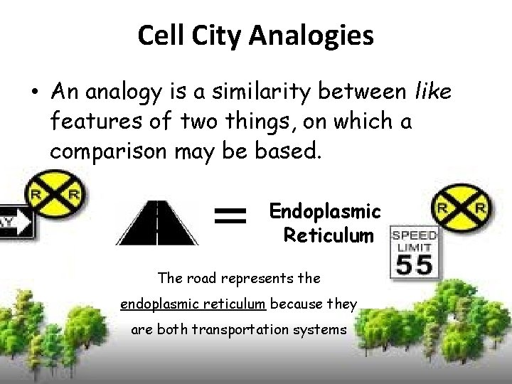 Cell City Analogies • An analogy is a similarity between like features of two Cell City Analogies • An analogy is a similarity between like features of two