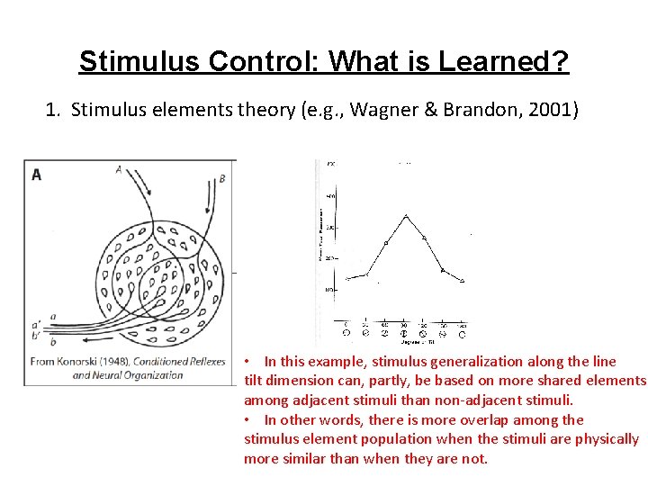 Stimulus Control: What is Learned? 1. Stimulus elements theory (e. g. , Wagner &