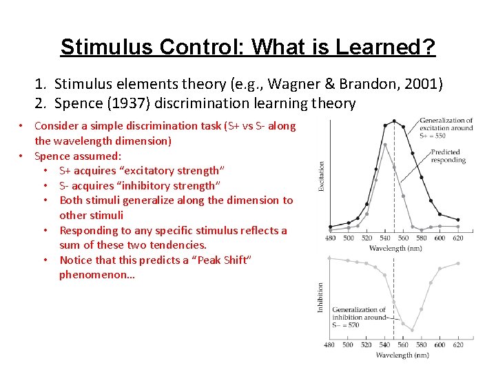 Stimulus Control: What is Learned? 1. Stimulus elements theory (e. g. , Wagner &