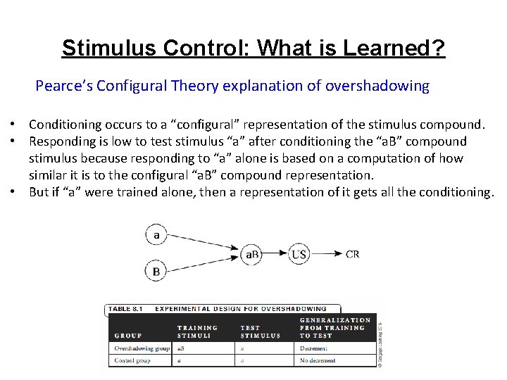 Stimulus Control: What is Learned? Pearce’s Configural Theory explanation of overshadowing • Conditioning occurs