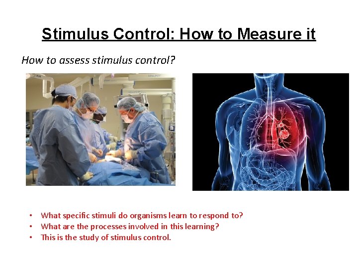 Stimulus Control: How to Measure it How to assess stimulus control? • What specific