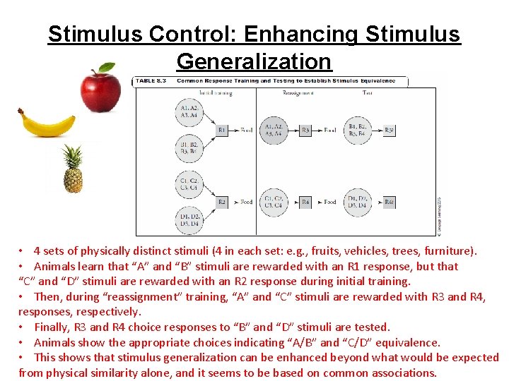 Stimulus Control: Enhancing Stimulus Generalization • 4 sets of physically distinct stimuli (4 in