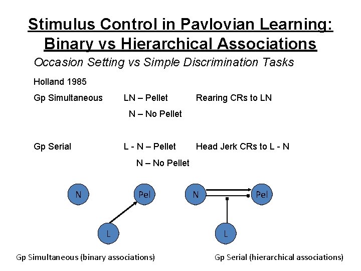 Stimulus Control in Pavlovian Learning: Binary vs Hierarchical Associations Occasion Setting vs Simple Discrimination