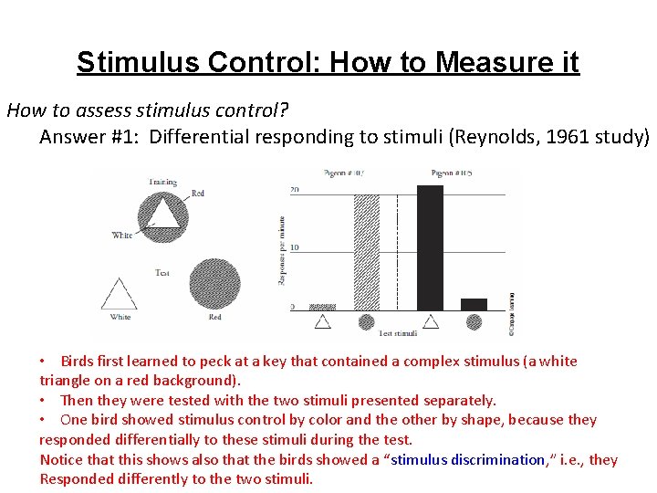 Stimulus Control: How to Measure it How to assess stimulus control? Answer #1: Differential