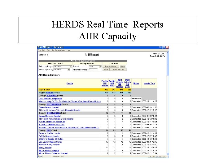 HERDS Real Time Reports AIIR Capacity 