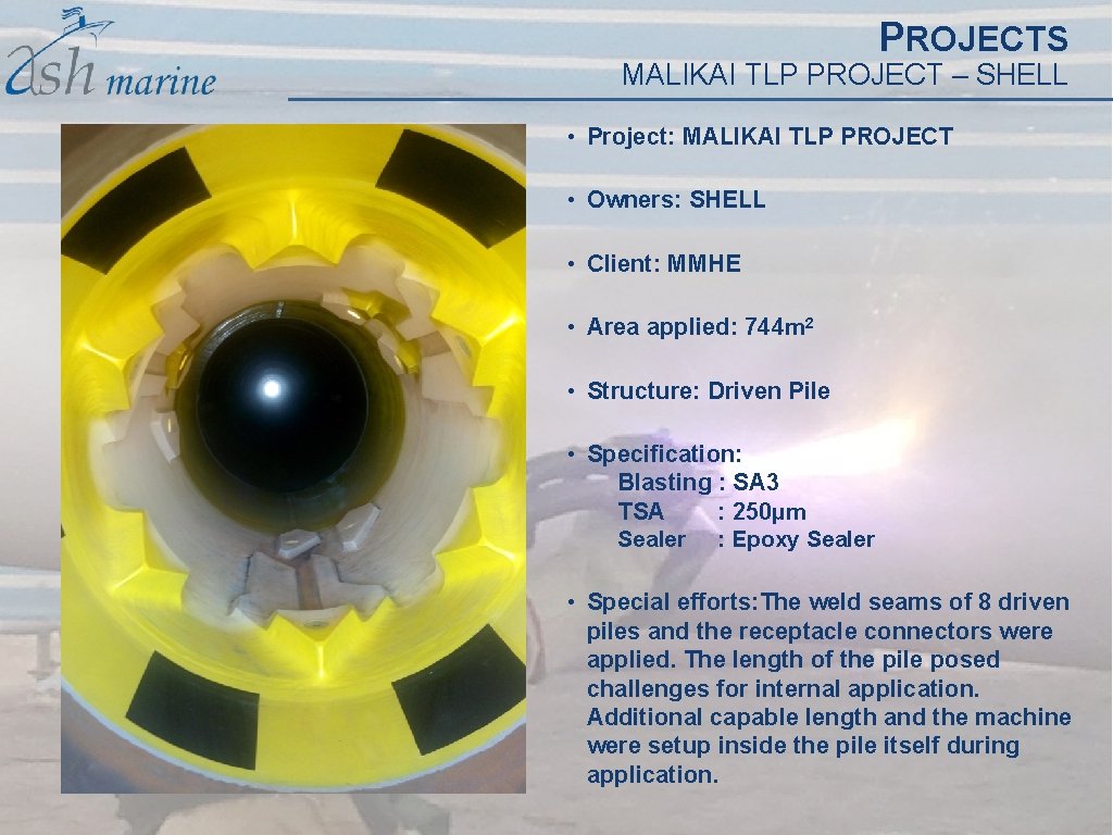 PROJECTS MALIKAI TLP PROJECT – SHELL • Project: MALIKAI TLP PROJECT • Owners: SHELL PROJECTS MALIKAI TLP PROJECT – SHELL • Project: MALIKAI TLP PROJECT • Owners: SHELL