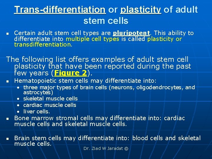 Trans-differentiation or plasticity of adult stem cells n Certain adult stem cell types are