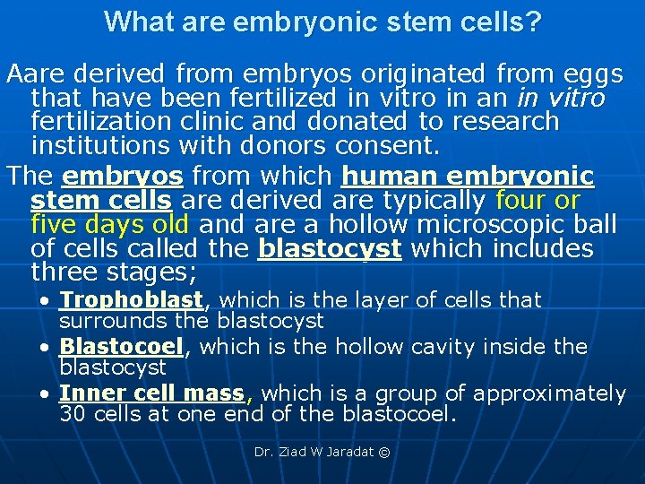 What are embryonic stem cells? Aare derived from embryos originated from eggs that have