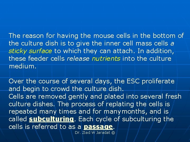 The reason for having the mouse cells in the bottom of the culture dish