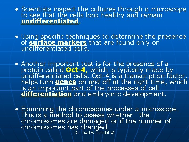  • Scientists inspect the cultures through a microscope to see that the cells