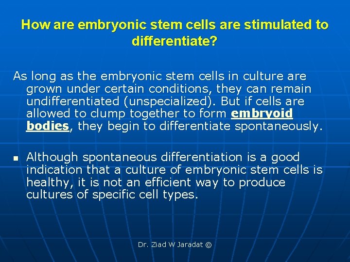 How are embryonic stem cells are stimulated to differentiate? As long as the embryonic