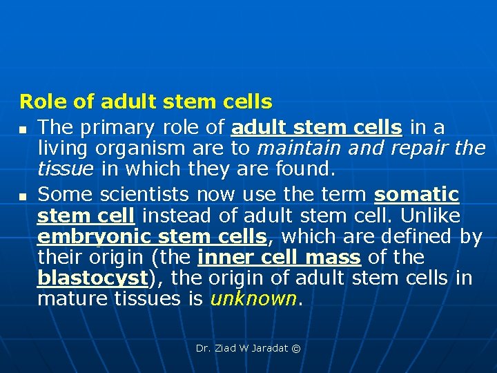 Role of adult stem cells n The primary role of adult stem cells in