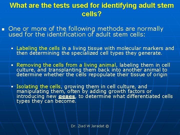 What are the tests used for identifying adult stem cells? n One or more