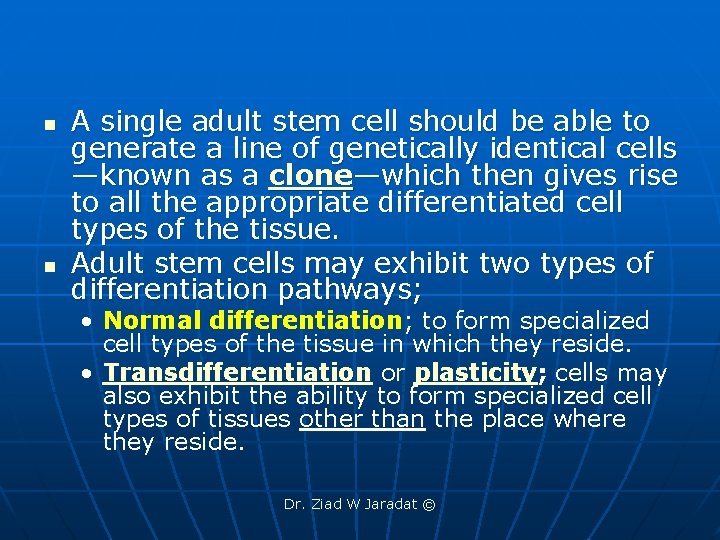 n n A single adult stem cell should be able to generate a line