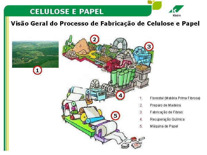 CELULOSE E PAPEL Visão Geral do Processo de Fabricação de Celulose e Papel 2